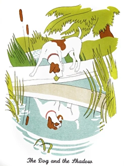 The Dog and the Shadow. Drawing by Christopher Sanders from a 20th century edition of The Dog and the Shadow. Drawing by Christopher Sanders from a 20th century edition of
