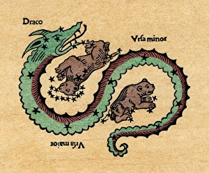 DRACO, 1482. Figuration of the constellations Draco, Ursa Major (Big Dipper) DRACO, 1482. Figuration of the constellations Draco, Ursa Major (Big Dipper)