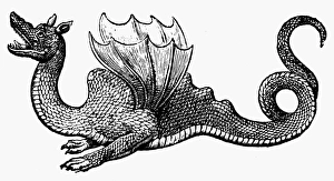 DRAGON, 1640. Draco Aethiopicus. Woodcut from Ulisse Aldrovandi's 'Serpentum et DRAGON, 1640. Draco Aethiopicus. Woodcut from Ulisse Aldrovandi's 'Serpentum et