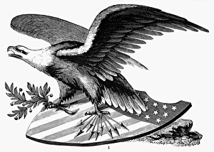 EAGLE, 19th CENTURY. An American bald eagle. American typefounders cut, 19th century EAGLE, 19th CENTURY. An American bald eagle. American typefounders cut, 19th century