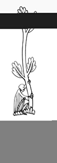ERIC GILL (1882-1940). English engraver. Engraved bookmark on a Chaucerian theme, 1930 ERIC GILL (1882-1940). English engraver. Engraved bookmark on a Chaucerian theme, 1930