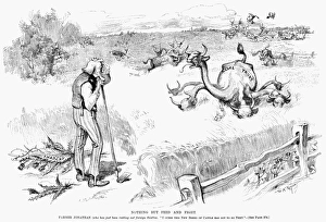 FARMER AND TRUST CARTOON. Nothing but Feed and Fight FARMER AND TRUST CARTOON. Nothing but Feed and Fight