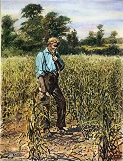 A FARMER'S PRAYER FOR RAIN. Drawing, 1894, by Arthur Burdett Frost