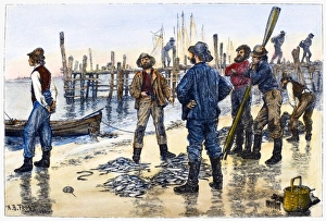 FISHERMEN, 1884. Long Island fishermen dividing up the days catch FISHERMEN, 1884. Long Island fishermen dividing up the days catch