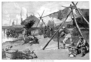 FISHING, 1889. 'Preparing nets for shad fishing.' Engraving after a drawing by W FISHING, 1889. 'Preparing nets for shad fishing.' Engraving after a drawing by W