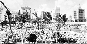 FLORIDA: MIAMI, c1925. Coral walls in a Miami park, c1925 FLORIDA: MIAMI, c1925. Coral walls in a Miami park, c1925