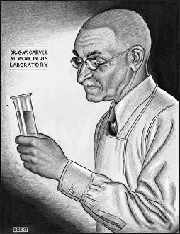 Brent Gallery: GEORGE WASHINGTON CARVER (1864-1943). American botanist, chemist, and educator