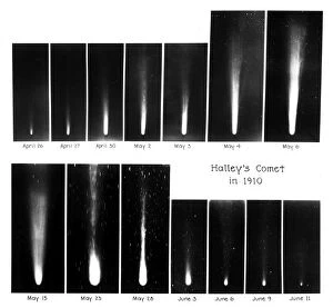 HALLEYs COMET, 1910. Fourteen views of Halleys Comet. Photograph, May-June 1910