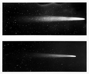 HALLEY'S COMET, 1910. Two views of Halleys Comet. Photographed from Honolulu, 12 May HALLEY'S COMET, 1910. Two views of Halleys Comet. Photographed from Honolulu, 12 May