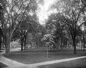 HARVARD YARD, c1890. Harvard Yard, part of Harvard University in Cambridge, Massachusetts HARVARD YARD, c1890. Harvard Yard, part of Harvard University in Cambridge, Massachusetts