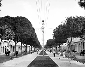 HAVANA: PRADO, c1904. The Prado boulevard in Havana, Cuba. Photograph, c1904 HAVANA: PRADO, c1904. The Prado boulevard in Havana, Cuba. Photograph, c1904