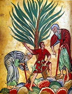 HERBAL MEDICINE. Physicians gathering herbs: ms. illum. from a German herbal, c. 1200 HERBAL MEDICINE. Physicians gathering herbs: ms. illum. from a German herbal, c. 1200