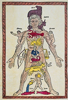 Homo Signorum. Woodcut from Epilogo en medicina, printed by Juan de Burgos, Spain, 1495 Homo Signorum. Woodcut from Epilogo en medicina, printed by Juan de Burgos, Spain, 1495