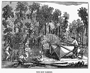 THE HOP GARDEN, 1836. Wood engraving, American THE HOP GARDEN, 1836. Wood engraving, American