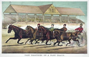 HORSE RACING, c1889. Fast Trotters on a Fast Track HORSE RACING, c1889. Fast Trotters on a Fast Track