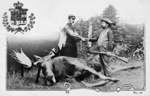 HUNTING: MOOSE. Moose hunting in New Brunswick, Canada. Canadian postcard, c1907 HUNTING: MOOSE. Moose hunting in New Brunswick, Canada. Canadian postcard, c1907