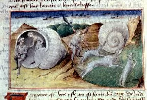 Images Dated 9th January 2004: IMAGINARY LAND OF TRAPONCE. Where people live in shells. French miniature, c1460