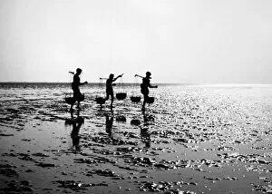INDIA: ORISSA, 1957. Fishermen carrying baskets of fish along the ocean shore at Orissa on the Bay of Bengal