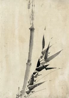 Ink wash drawing of bamboo on handmade paper by Hokusai Katsushika, c1830-1850