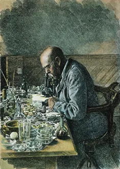 Images Dated 9th June 2010: investigating rinderpest at Kimberley, South Africa: drawing, 1897