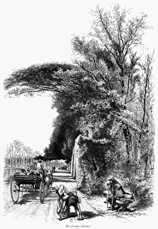 ITALY: FLORENCE, c1875. Scene in the Cascine Park, Florence, Italy ITALY: FLORENCE, c1875. Scene in the Cascine Park, Florence, Italy