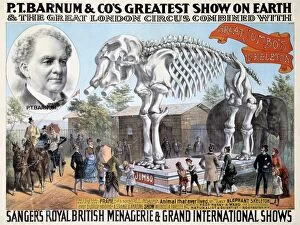 JUMBO SKELETON. Circus poster for P.T. Barnums Greatest Show on Earth combined with Sangers Royal British Menagerie &
