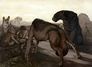 JUNGLE BOOK, 1903. Council Rock. Illustration by Edward and Maurice Detmold for JUNGLE BOOK, 1903. Council Rock. Illustration by Edward and Maurice Detmold for