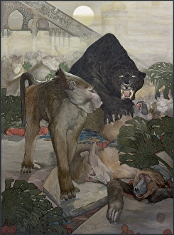 JUNGLE BOOK, 1903. Monkey fight. Illustration by Edward and Maurice Detmold for JUNGLE BOOK, 1903. Monkey fight. Illustration by Edward and Maurice Detmold for