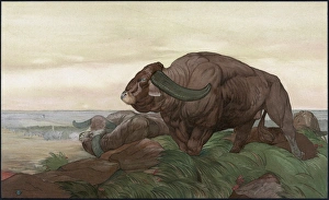 JUNGLE BOOK, 1903. The return of the buffalo herd JUNGLE BOOK, 1903. The return of the buffalo herd