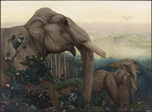 JUNGLE BOOK, 1903. Toomai of the elephants JUNGLE BOOK, 1903. Toomai of the elephants