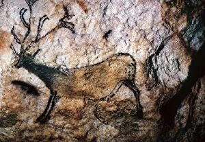 Reindeer Gallery: LASCAUX: RUNNING DEER. Running deer from the Cave of Lascaux, Montignac, France