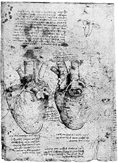 <b class=qtipBold><figcaption>Leonardo: Anatomy</figcaption></b><br>LEONARDO: ANATOMY. Ox heart, c1513.<br><em>© none</em> Leonardo: Anatomy