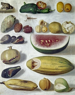Hermenegildo Gallery: Still life with watermelon. Oil on wood by Hermenegildo Bustos, 1874