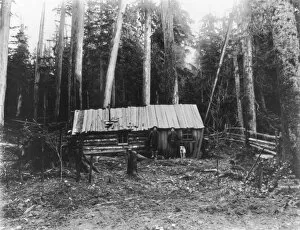 LOG CABIN, c1906. Two loggers and a dog standing in front of a log cabin in the