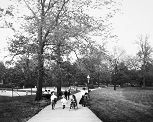LOUISVILLE: CENTRAL PARK. Central Park, Louisville, Kentucky, designed by Frederick Law Olmsted LOUISVILLE: CENTRAL PARK. Central Park, Louisville, Kentucky, designed by Frederick Law Olmsted