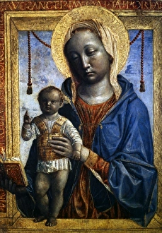 MADONNA OF THE BOOK. Panel, c1480, by Vincenzo Foppa MADONNA OF THE BOOK. Panel, c1480, by Vincenzo Foppa