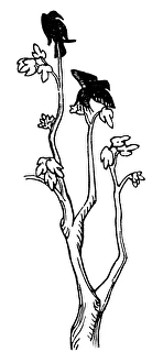 MAILLOL: CROWS. Crows gladdened by the return of fair weather. Woodcut by Aristide Maillol MAILLOL: CROWS. Crows gladdened by the return of fair weather. Woodcut by Aristide Maillol