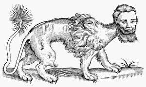 MANTICORE, 1607. Woodcut from Edward Topsells The History of Four-Footed Beasts MANTICORE, 1607. Woodcut from Edward Topsells The History of Four-Footed Beasts