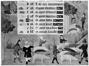 MEDIEVAL HERDSMEN. Herdsmen driving pigs. Medieval French manuscript illumination MEDIEVAL HERDSMEN. Herdsmen driving pigs. Medieval French manuscript illumination