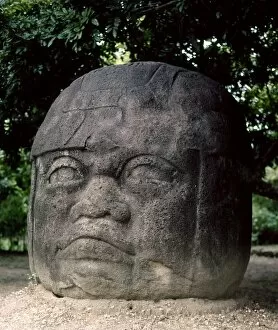 Images Dated 17th February 2012: MEXICO: OLMEC HEAD. Olmec colossal head number 2, at Parque La Venta, Tabasco, Mexico, 800-200 B.C