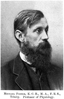 MICHAEL FOSTER (1836-1907). English physiologist MICHAEL FOSTER (1836-1907). English physiologist