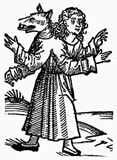 Images Dated 24th September 2008: MONSTER, 1493. Part-wolf, part-human monster. Woodcut from the Nuremberg Chronicle
