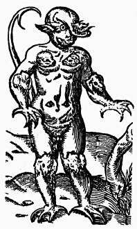 Images Dated 24th September 2008: MONSTER, 1569. Woodcut from Edward Fentons Certain Secret Wonders of Nature