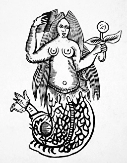 MORGAN LE FAY. In the mermaid character of Morgan of the Black Rock (near Liverpool MORGAN LE FAY. In the mermaid character of Morgan of the Black Rock (near Liverpool