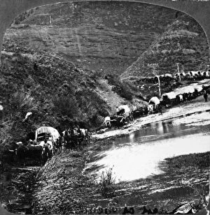 Horse Drawn Collection: MORMON WAGON TRAIN, 1879. A Mormon wagon train on its way to Utah. Photographed by C