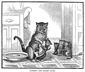 MOTHER CAT, 1880. Washing the babies faces. Line engraving, 1880 MOTHER CAT, 1880. Washing the babies faces. Line engraving, 1880