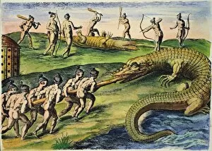 South East Gallery: NATIVE AMERICANS: CROCODILES, 1591. Florida Native Americans killing crocodiles (alligators)
