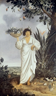 NATIVE INDIAN WOMAN OF BRAZIL. Mestizo woman of Brazil NATIVE INDIAN WOMAN OF BRAZIL. Mestizo woman of Brazil