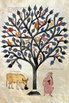 NEBUCHADNEZZAR. Nebuchadnezzar eating grass: Spanish manuscript illumination NEBUCHADNEZZAR. Nebuchadnezzar eating grass: Spanish manuscript illumination