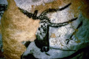 Cave Painting Prints: Print of a Bull Head from Lascaux Cave, Montignac